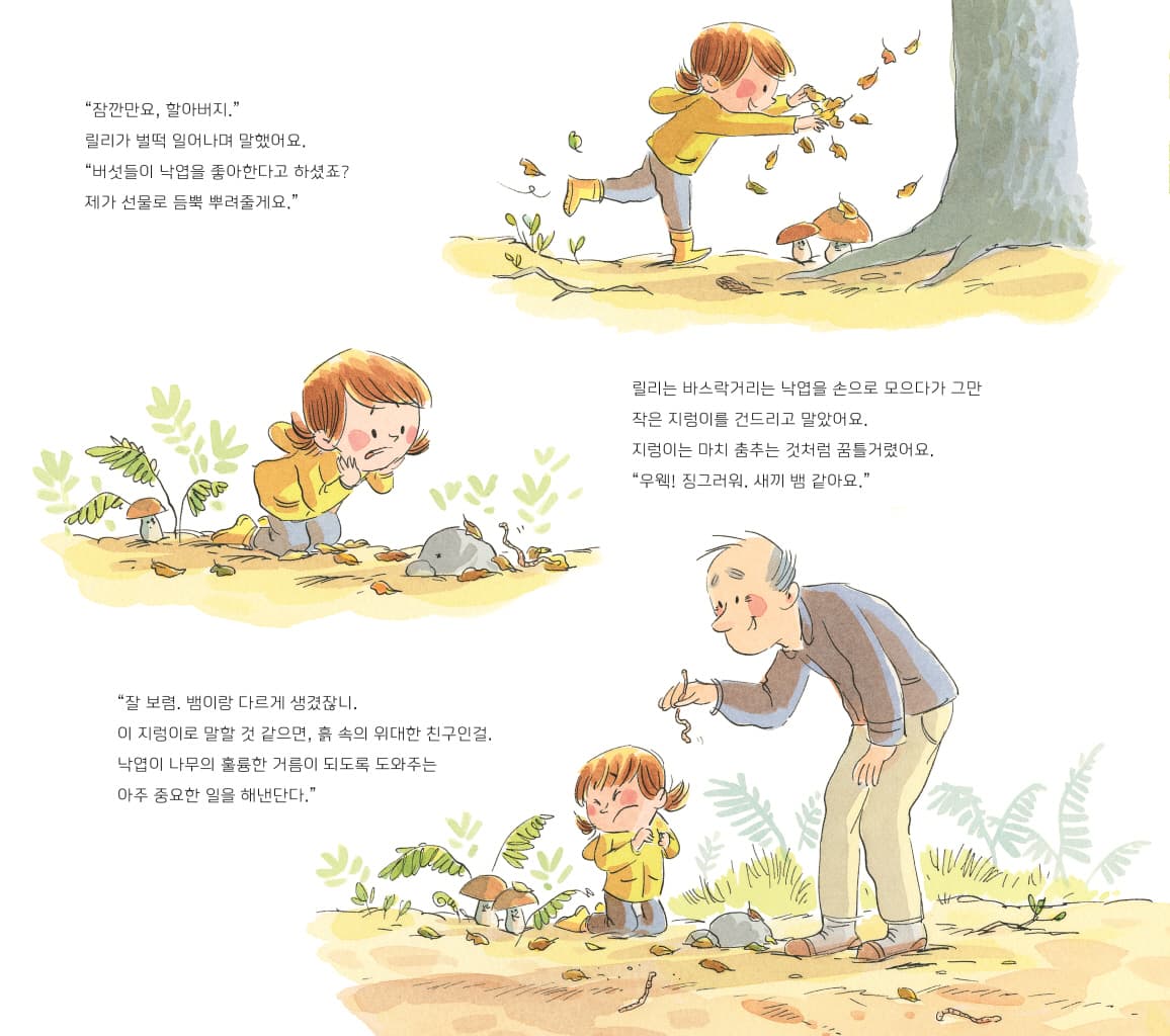 릴리와 숲의 비밀
