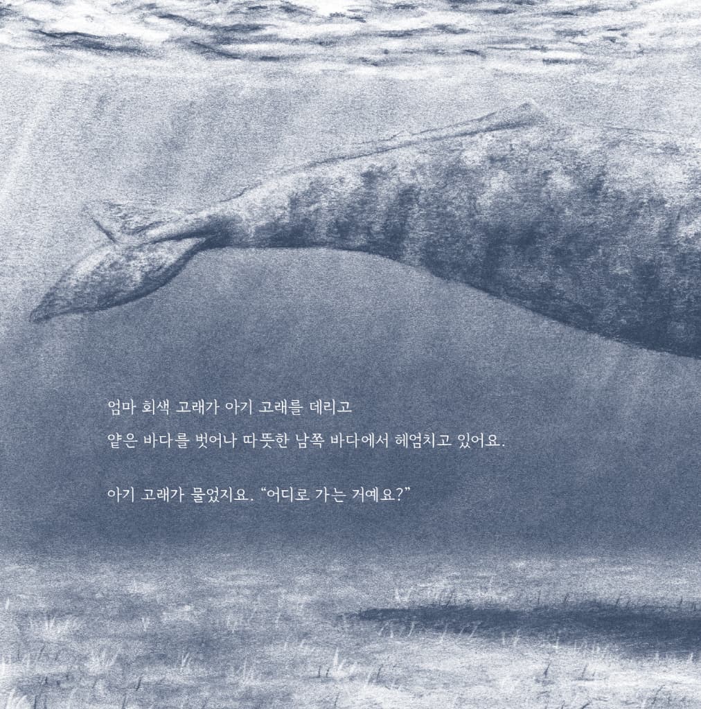 아기 고래의 첫 여행