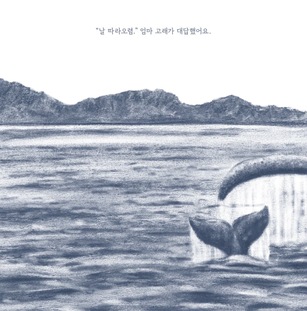 아기 고래의 첫 여행