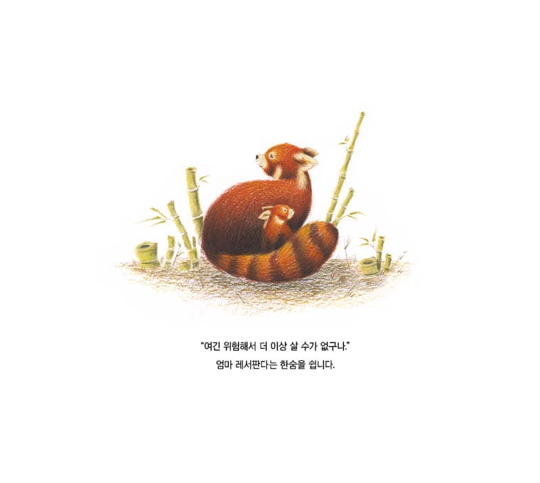 레서판다 핍과 대나무 길