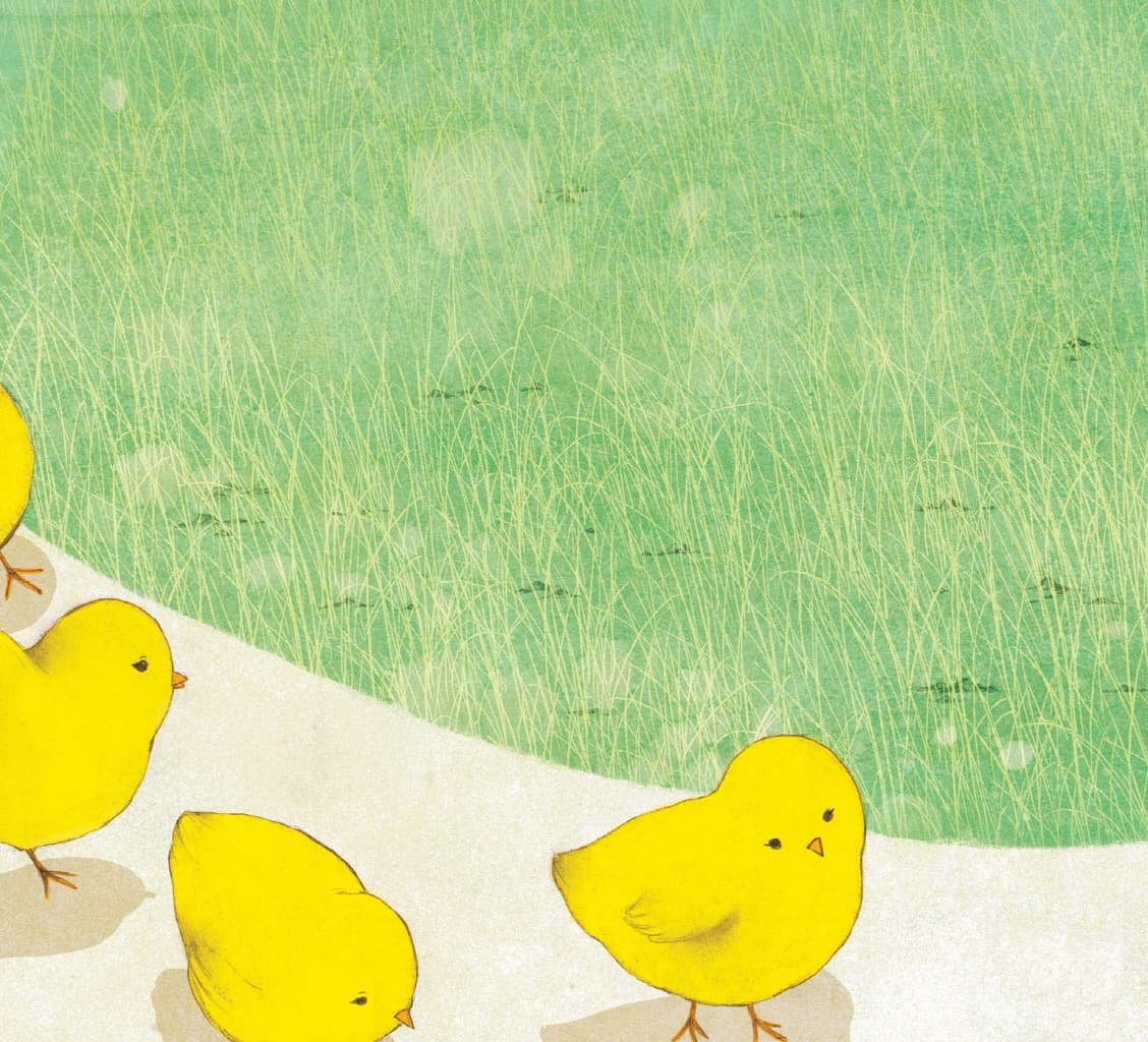 코끼리 놀이터