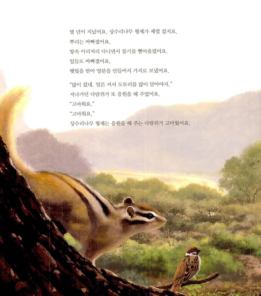 하나가 된 사랑나무