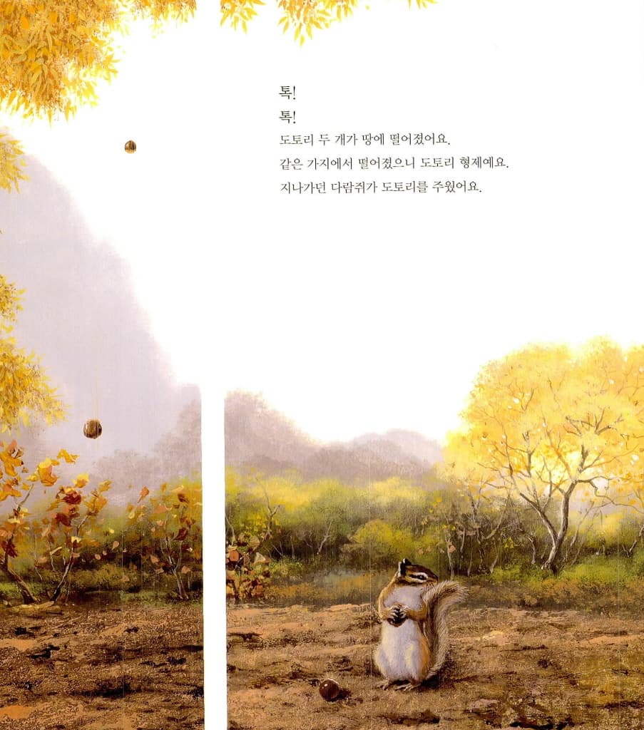 하나가 된 사랑나무