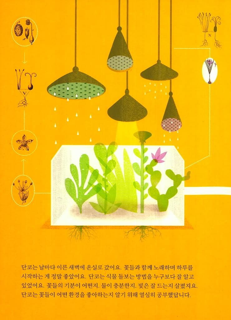 론도의 노래