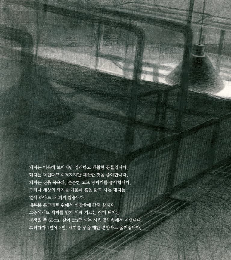 돼지 이야기