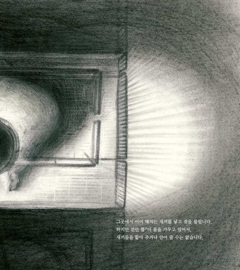 돼지 이야기