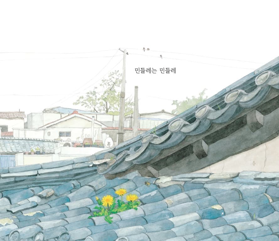 민들레는 민들레