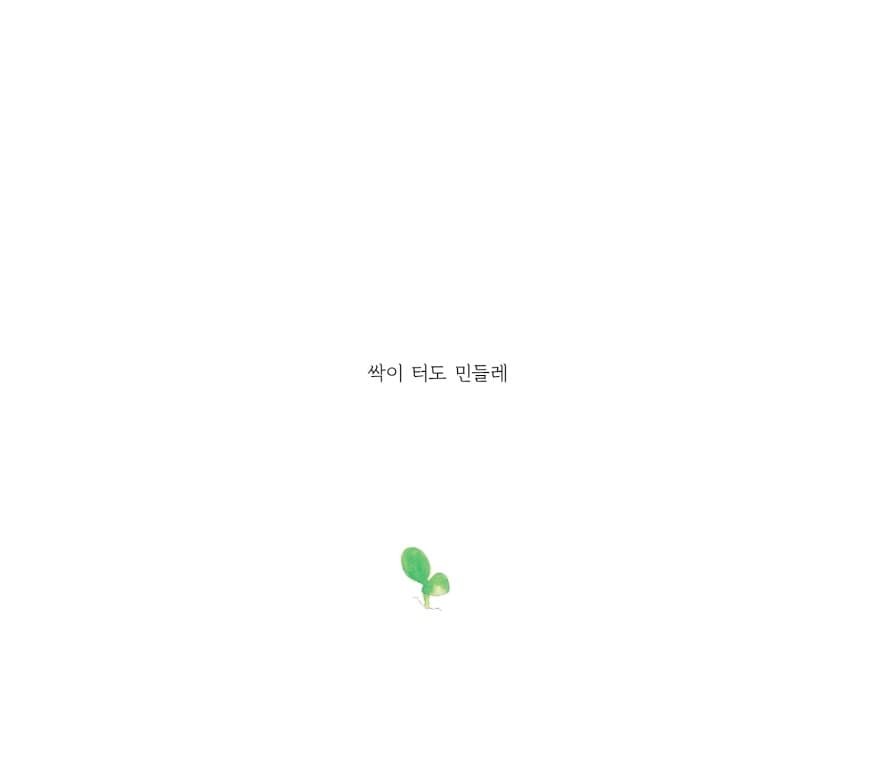 민들레는 민들레