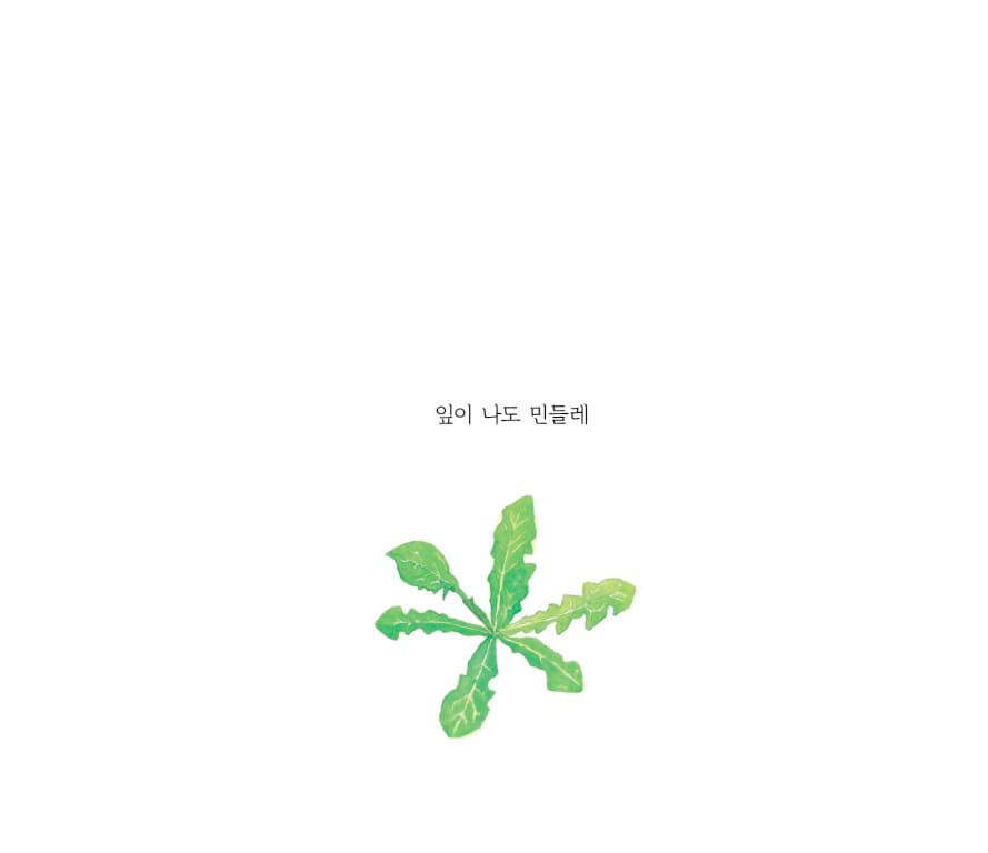 민들레는 민들레