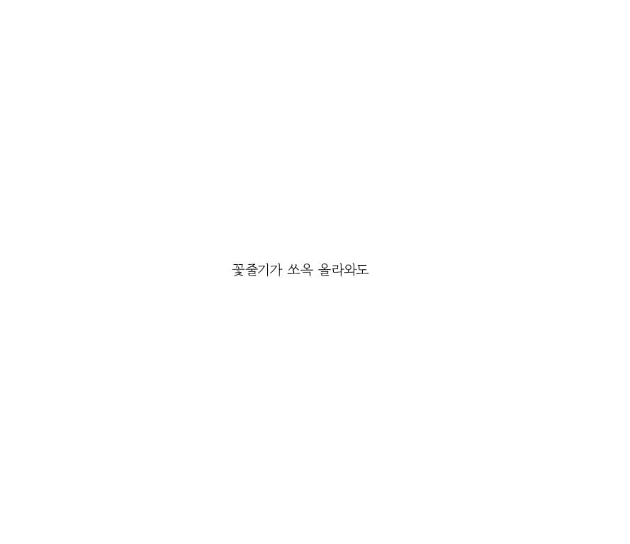 민들레는 민들레