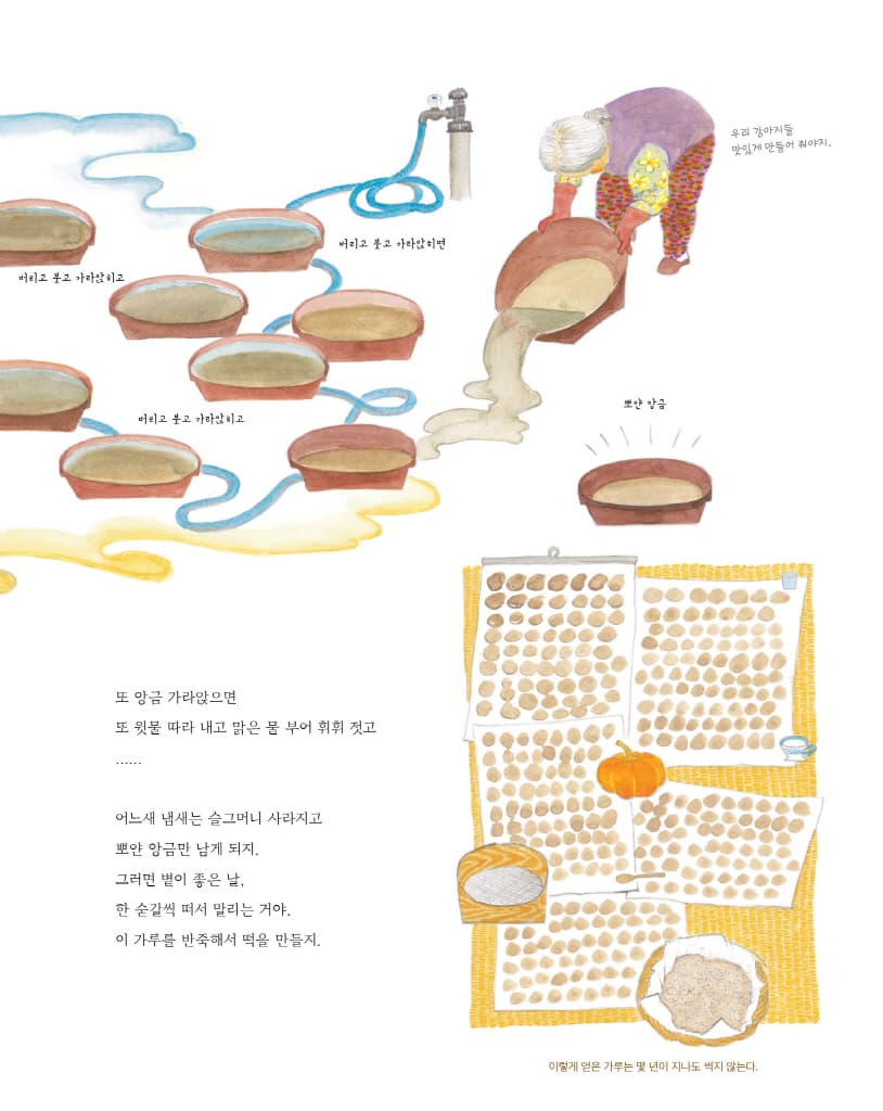 바람의 맛