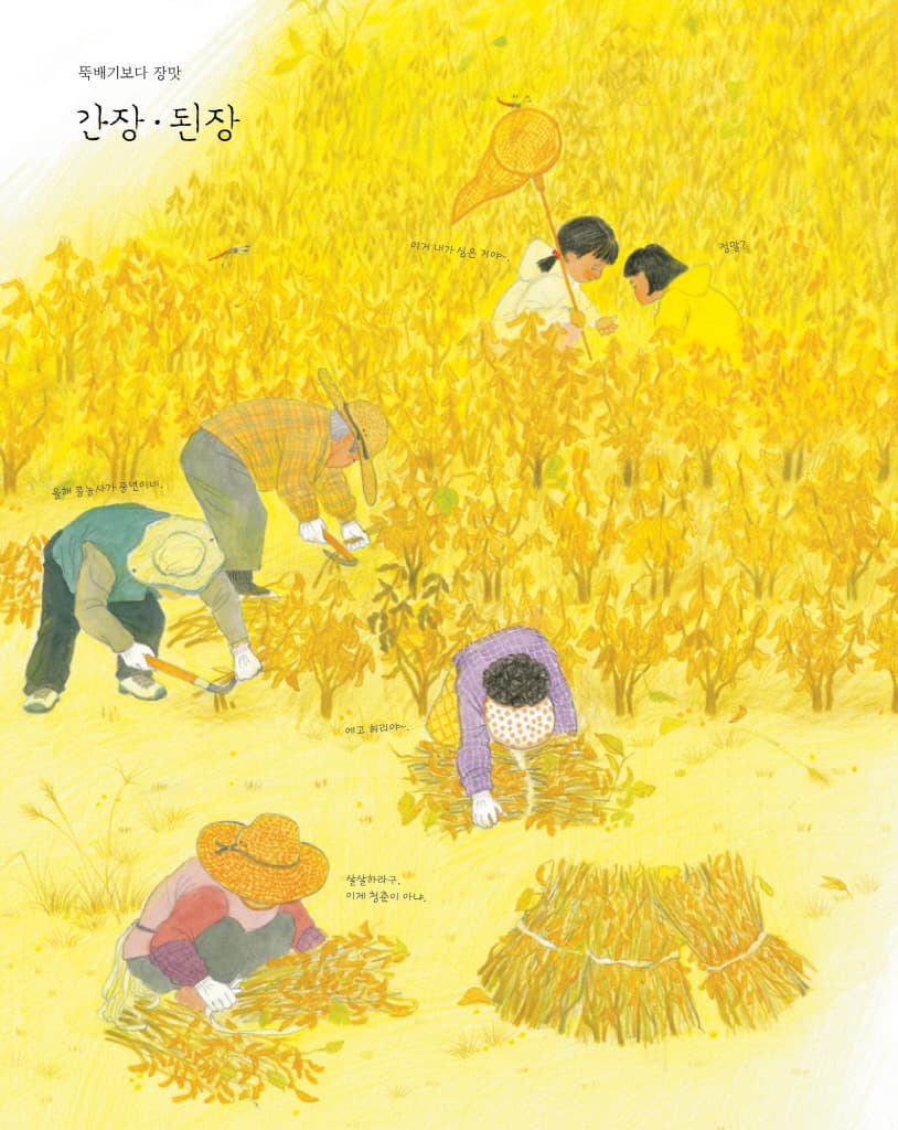 바람의 맛