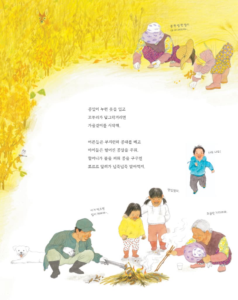바람의 맛