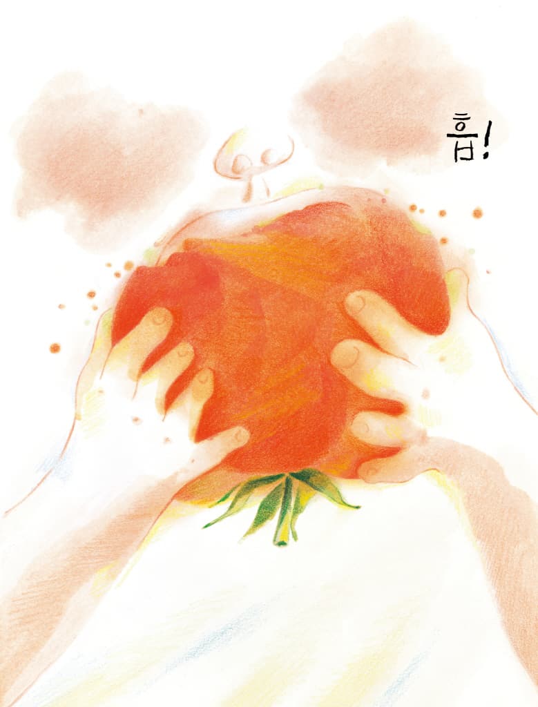 토마토