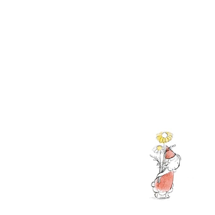 빨간모자 요정 이야기