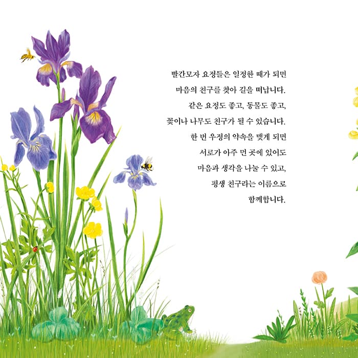 빨간모자 요정 이야기
