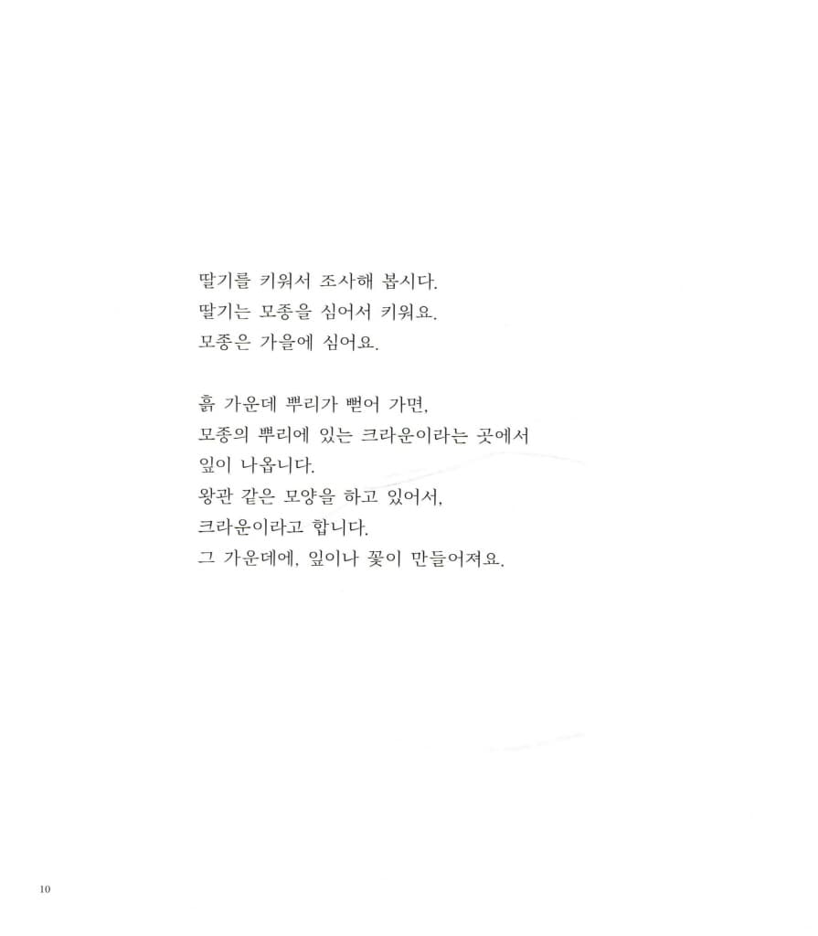 딸기