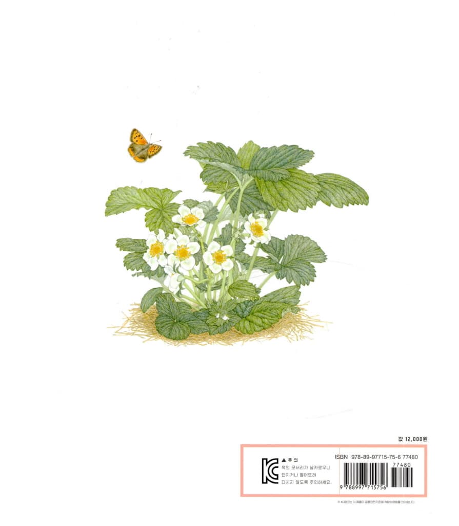 딸기