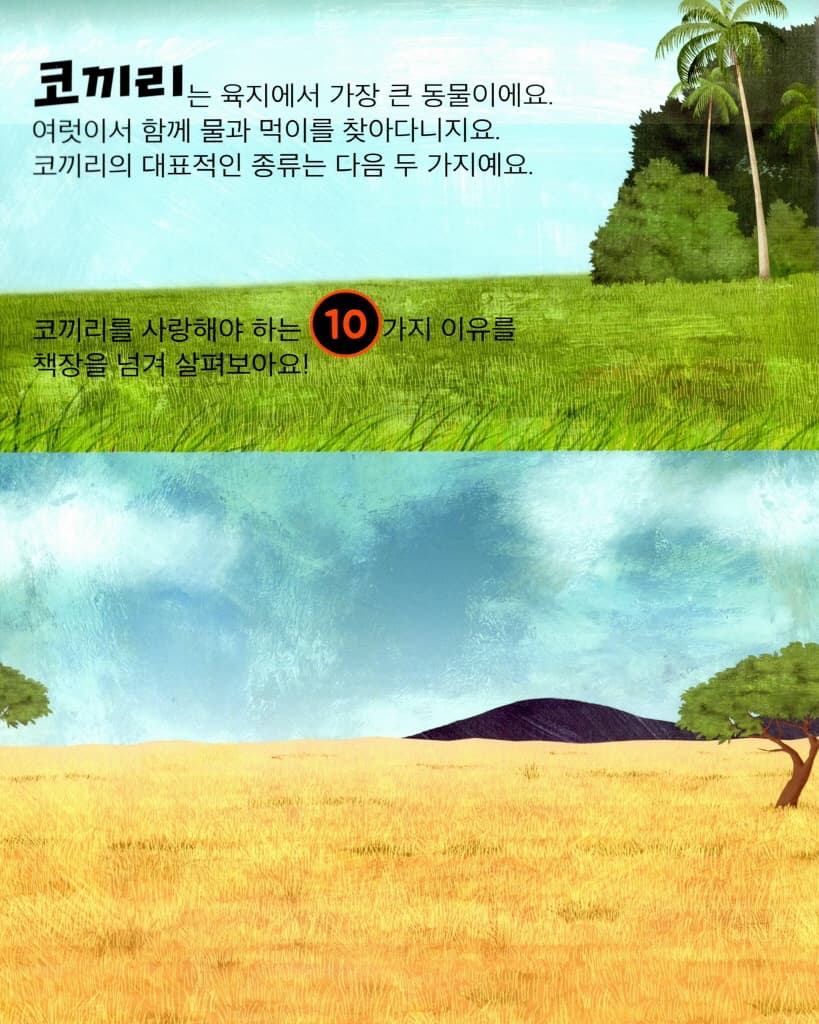 코끼리를 사랑해야 하는 10가지 이유