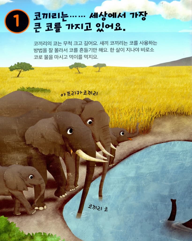 코끼리를 사랑해야 하는 10가지 이유