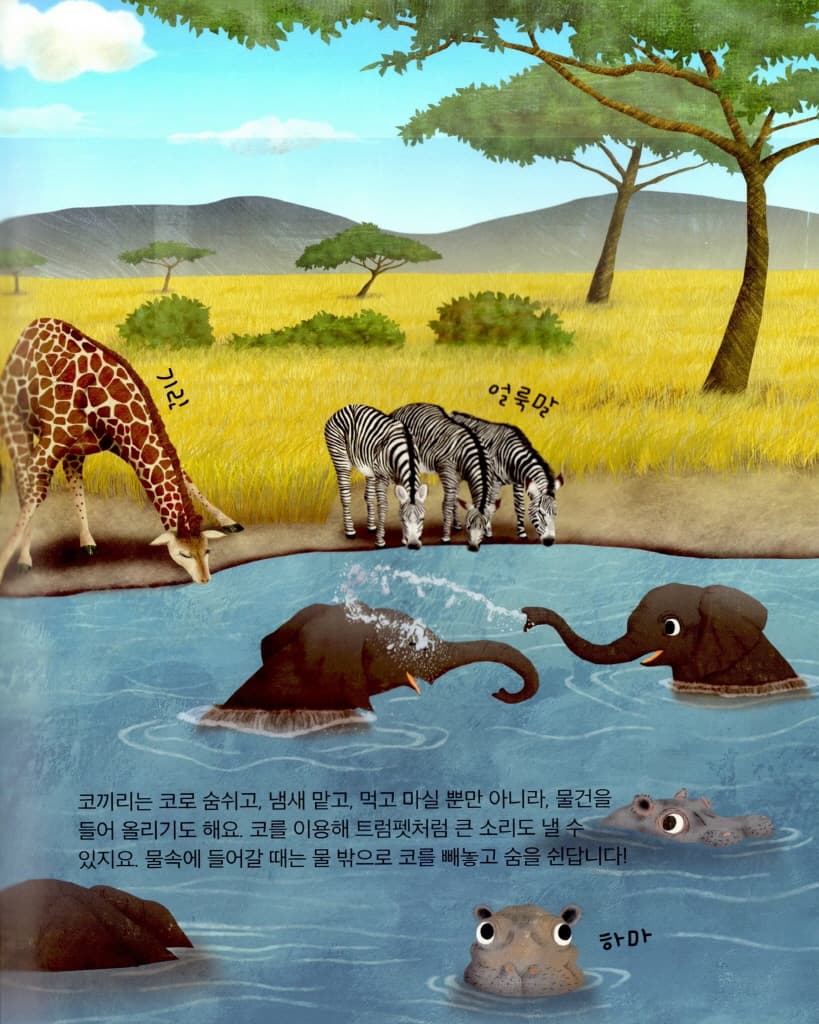 코끼리를 사랑해야 하는 10가지 이유