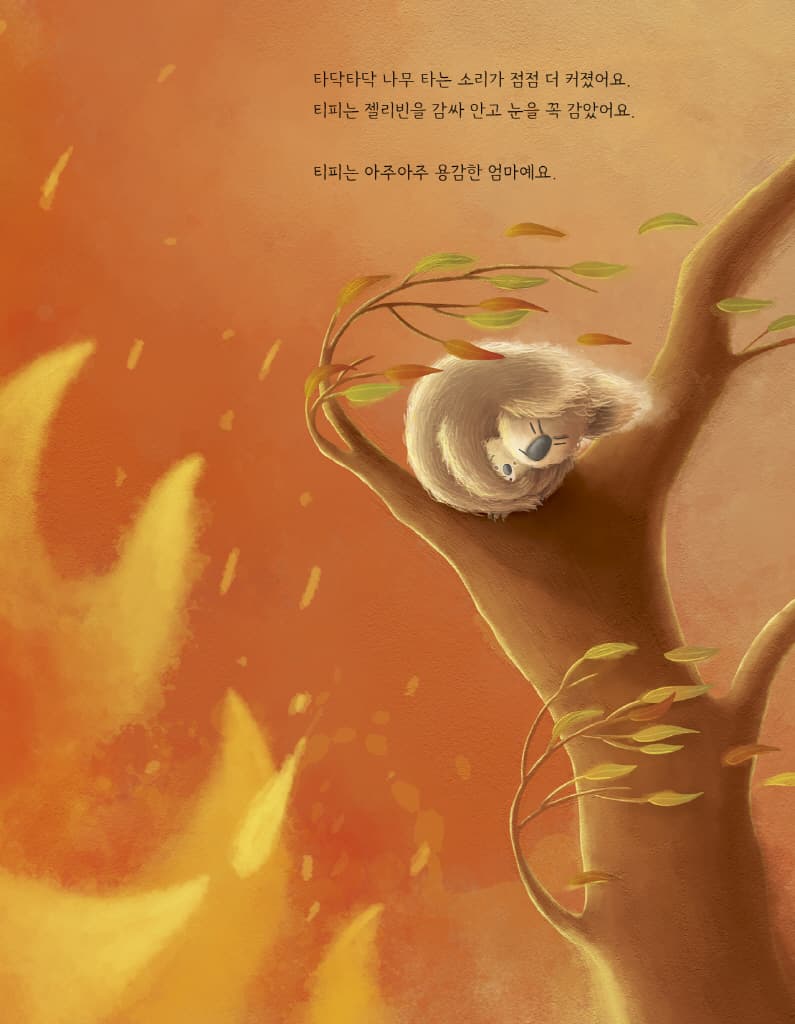 산불에서 구한 아기 코알라