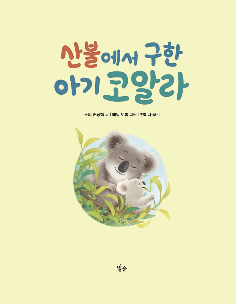 산불에서 구한 아기 코알라