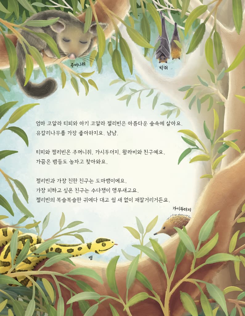 산불에서 구한 아기 코알라