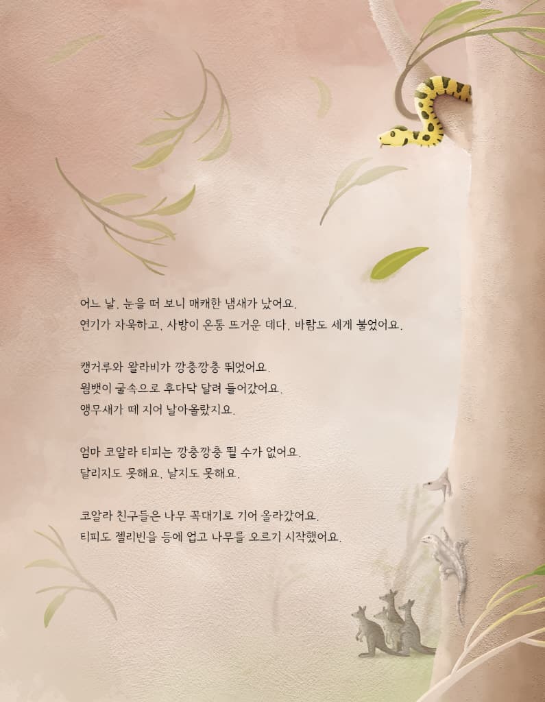 산불에서 구한 아기 코알라