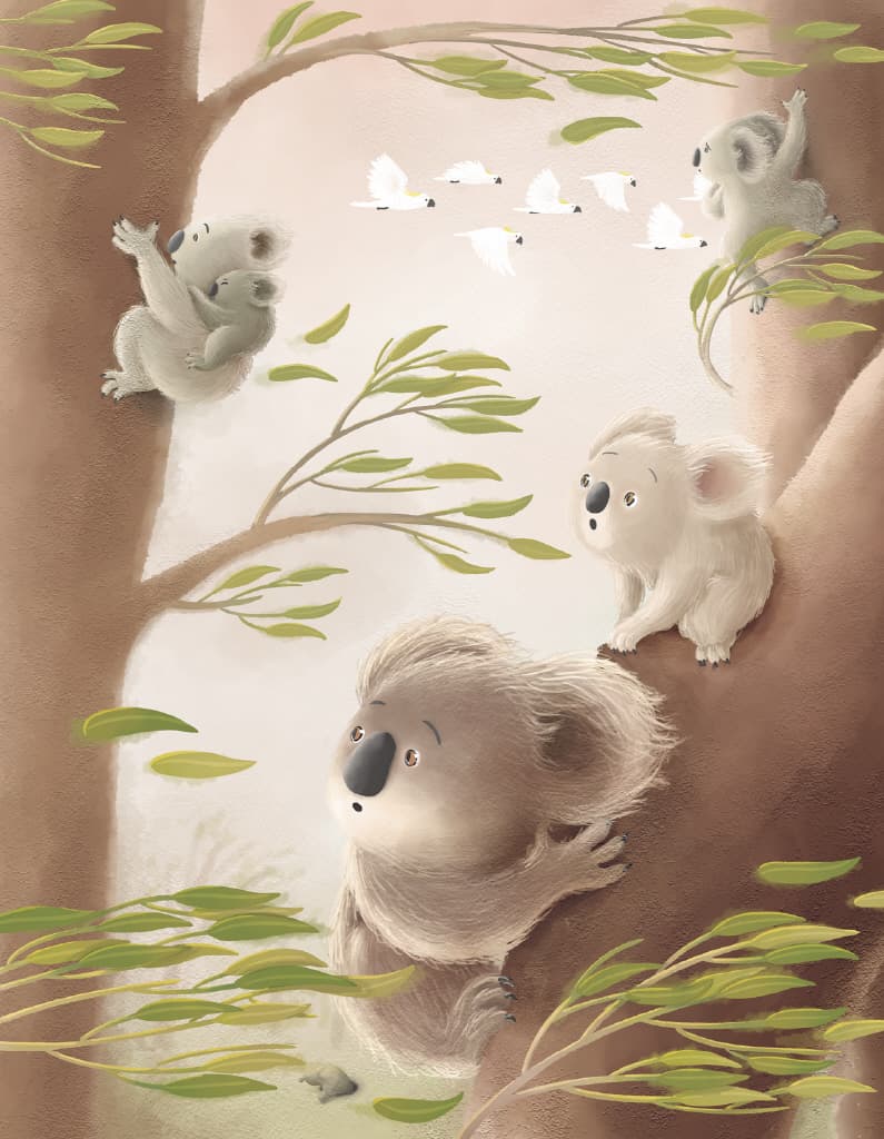 산불에서 구한 아기 코알라