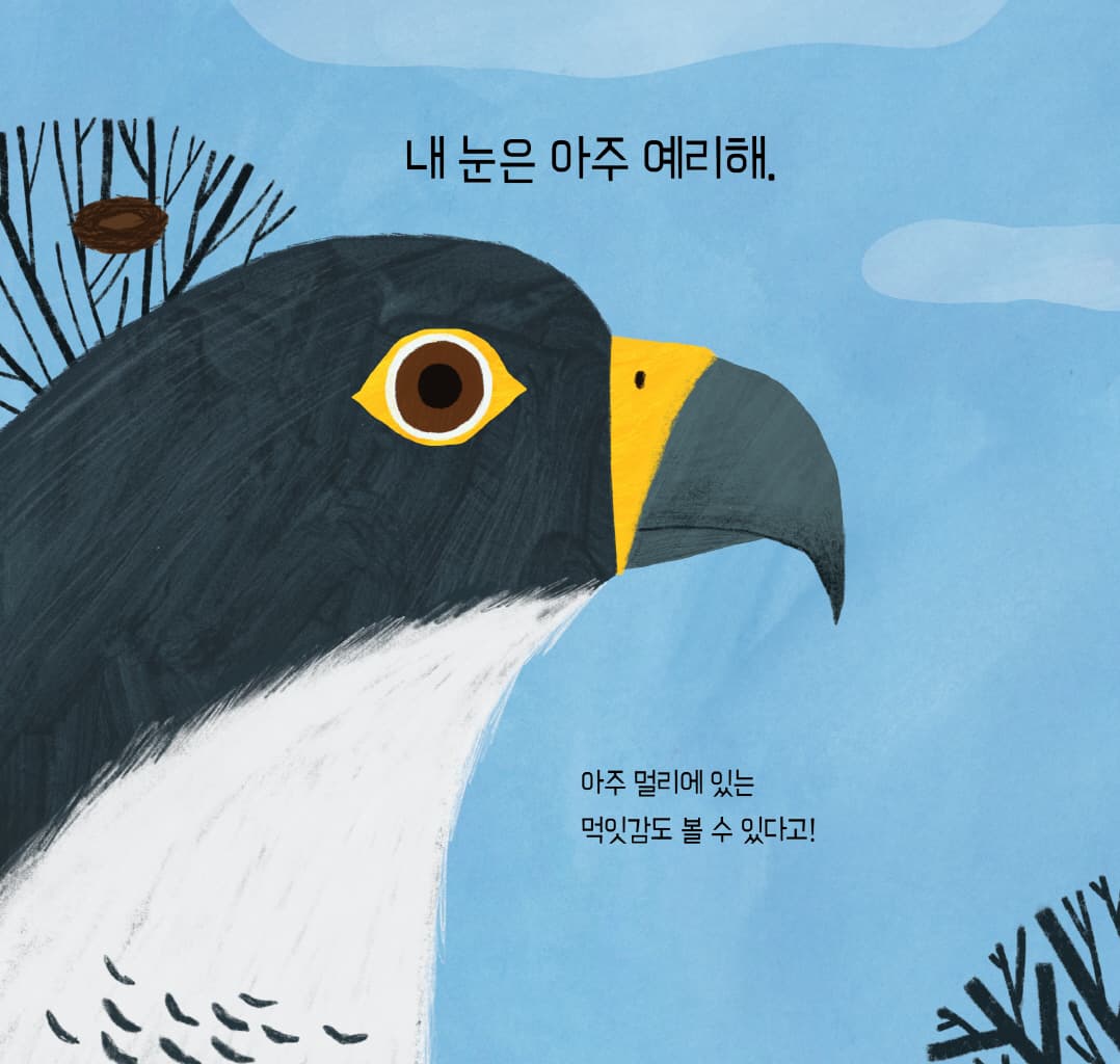눈, 눈, 누구 눈?