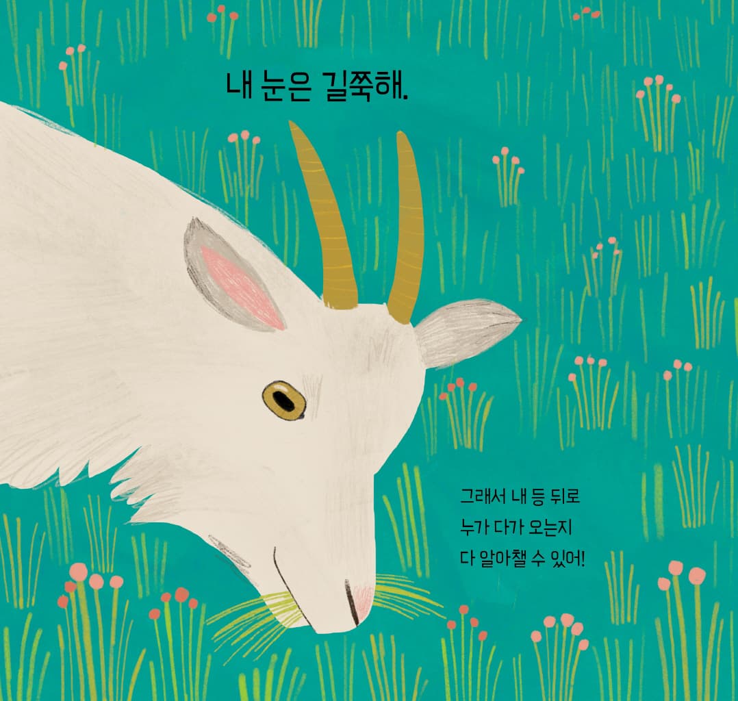 눈, 눈, 누구 눈?