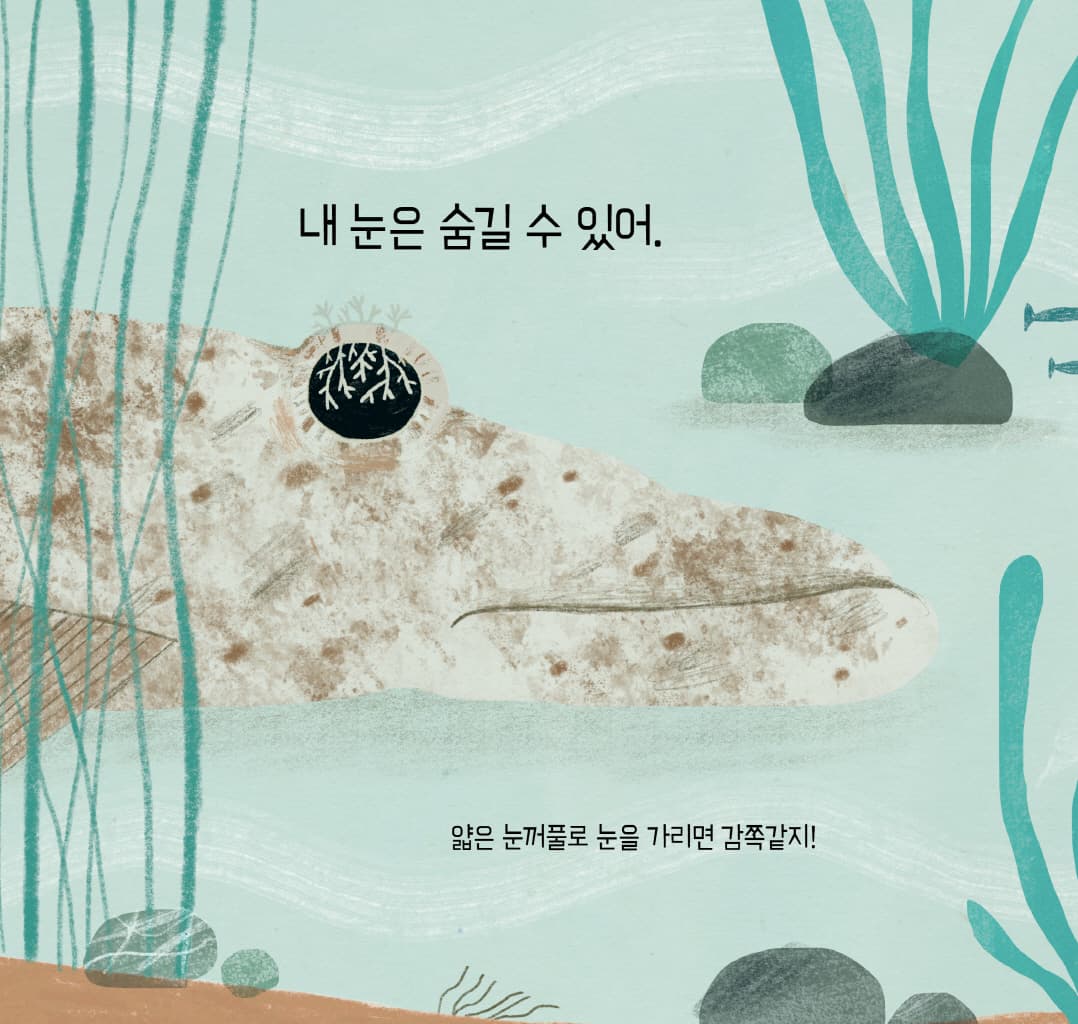 눈, 눈, 누구 눈?