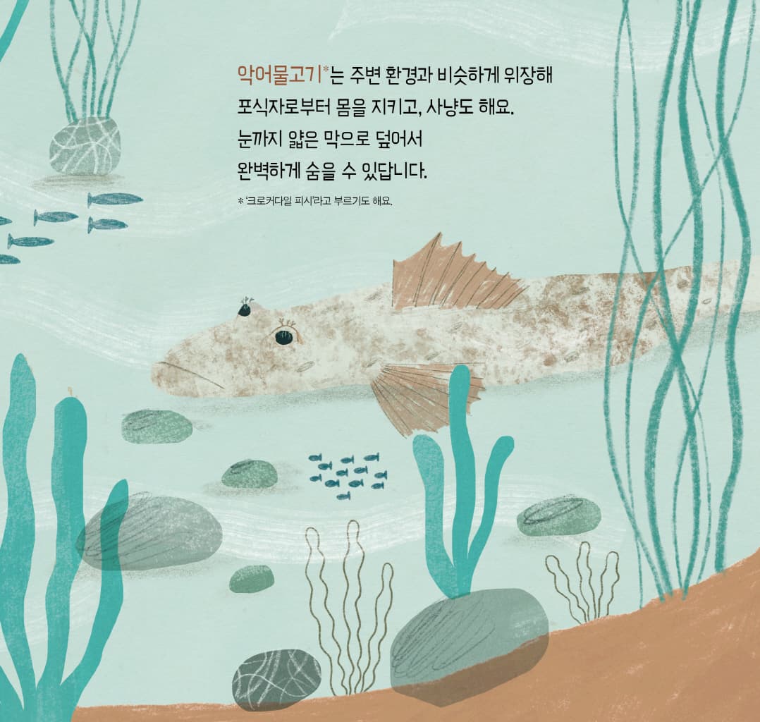 눈, 눈, 누구 눈?