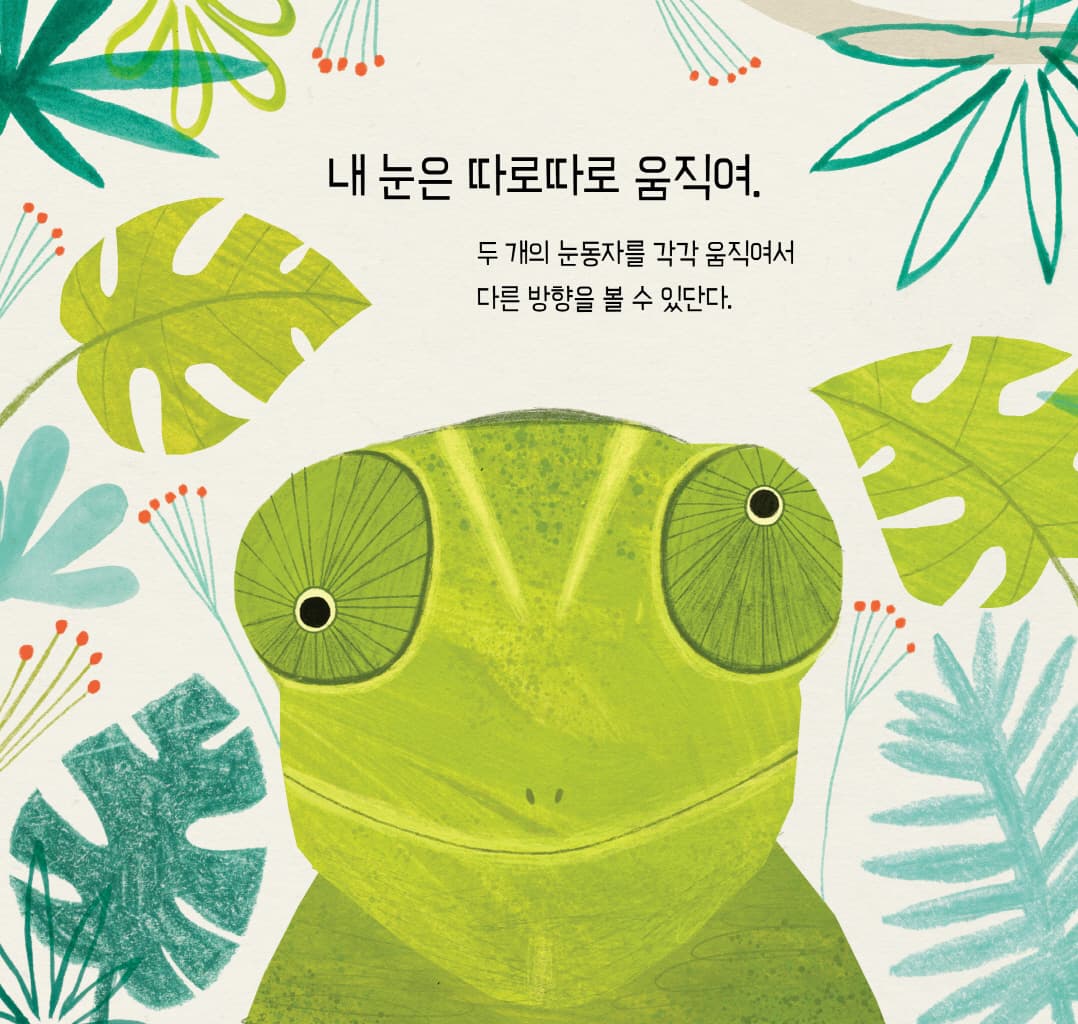 눈, 눈, 누구 눈?