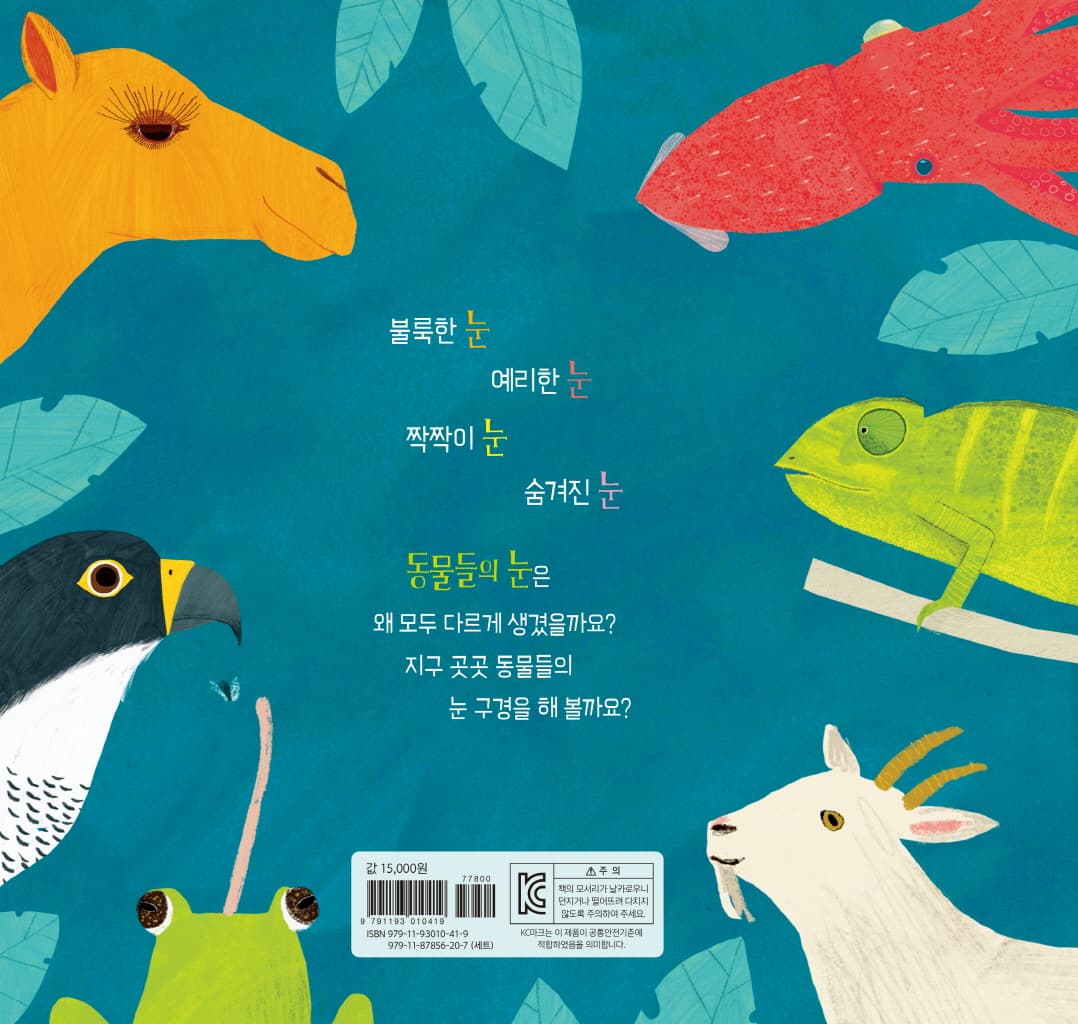 눈, 눈, 누구 눈?