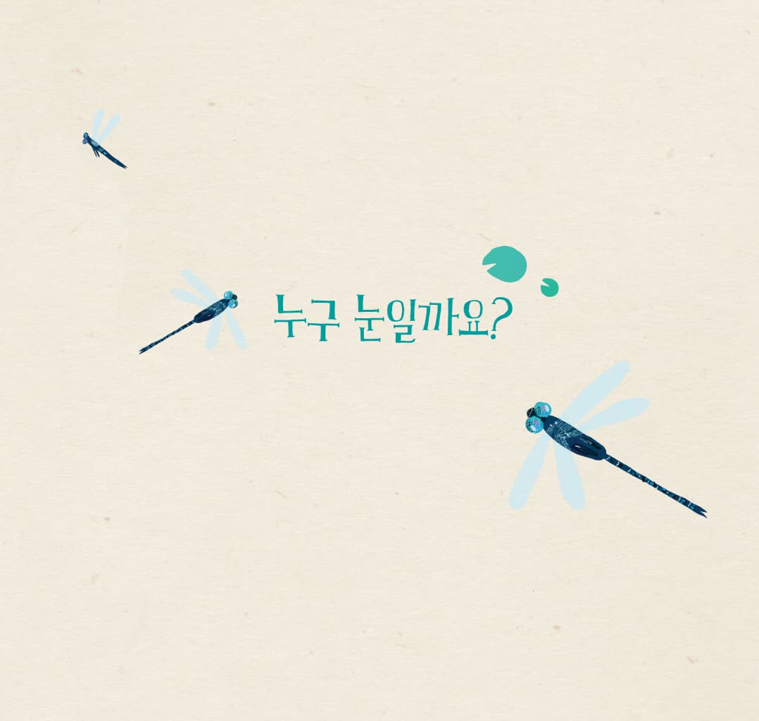 눈, 눈, 누구 눈?