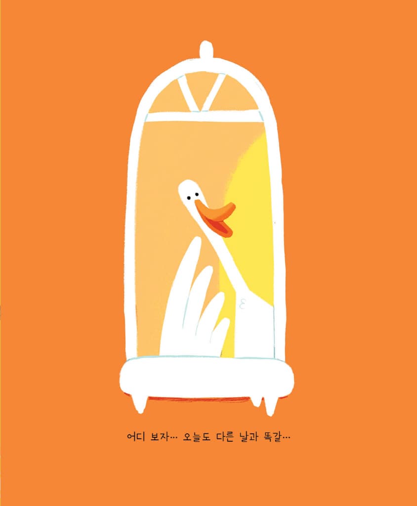 곰아, 괜찮아?