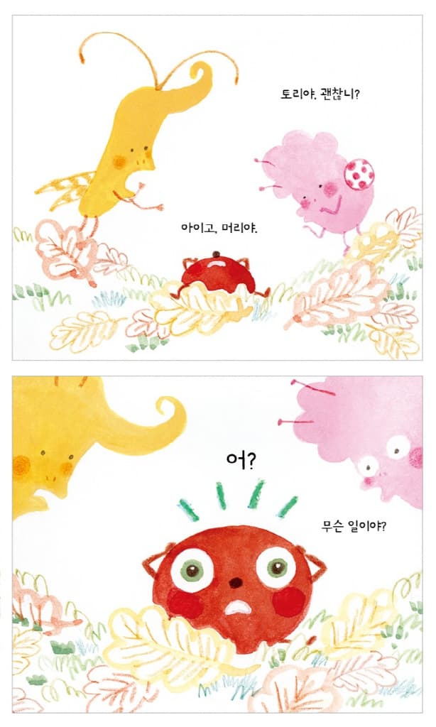 도토리 모자