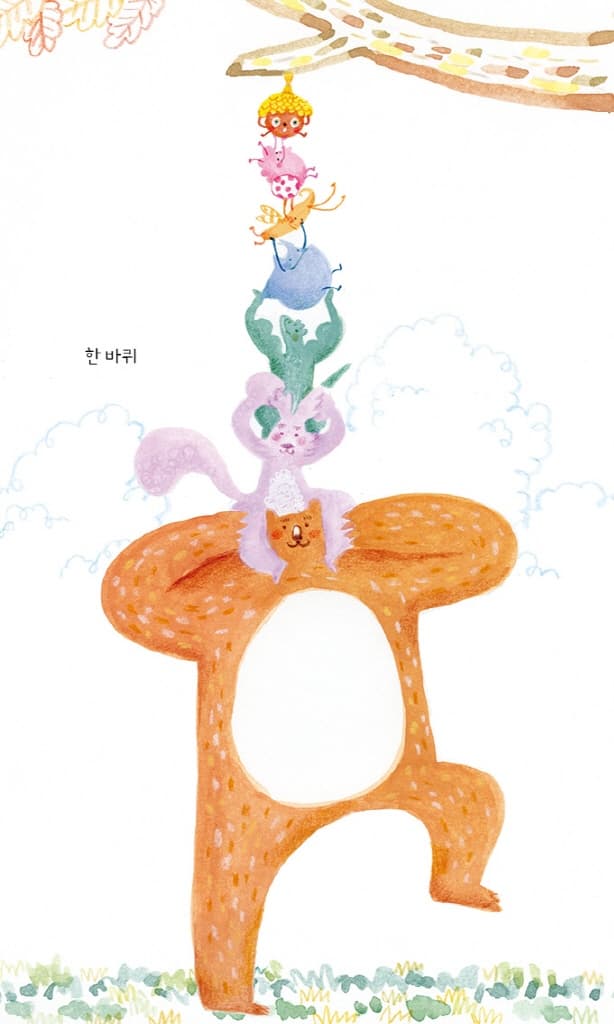 도토리 모자