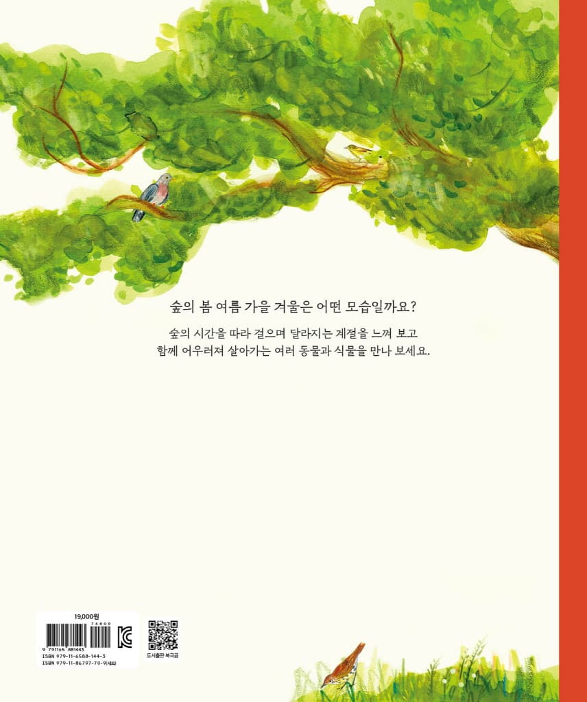 숲의 시간