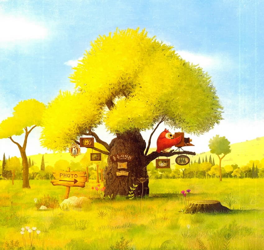 숲속 사진관