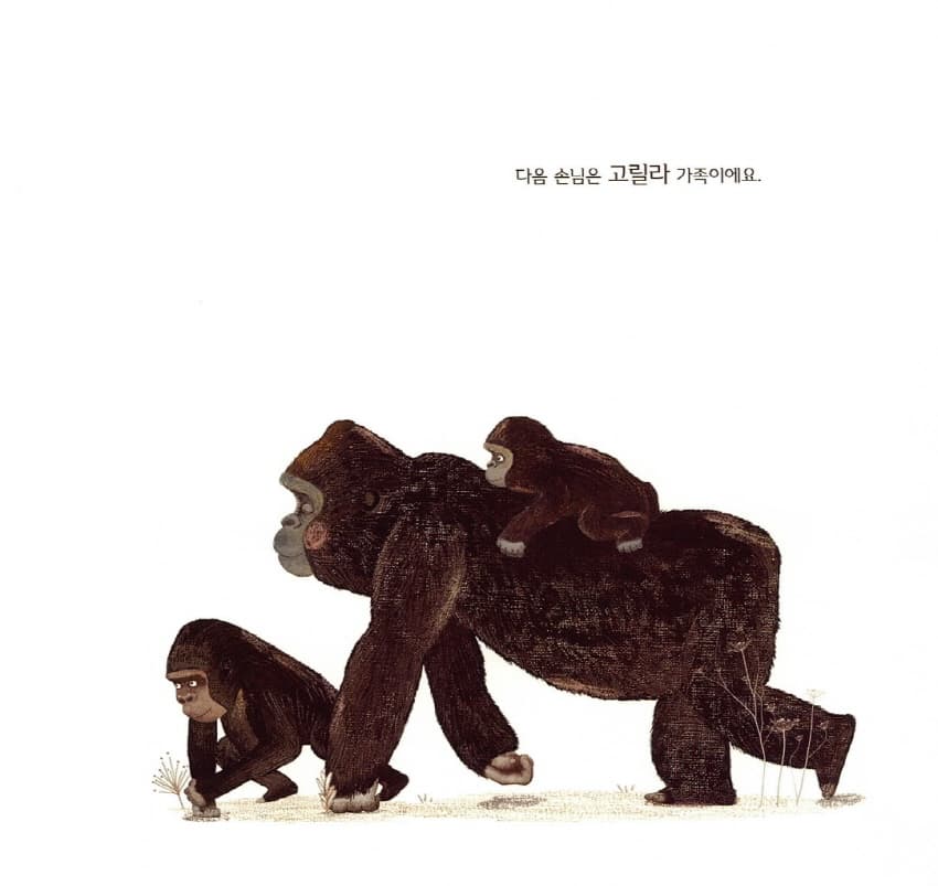 숲속 사진관
