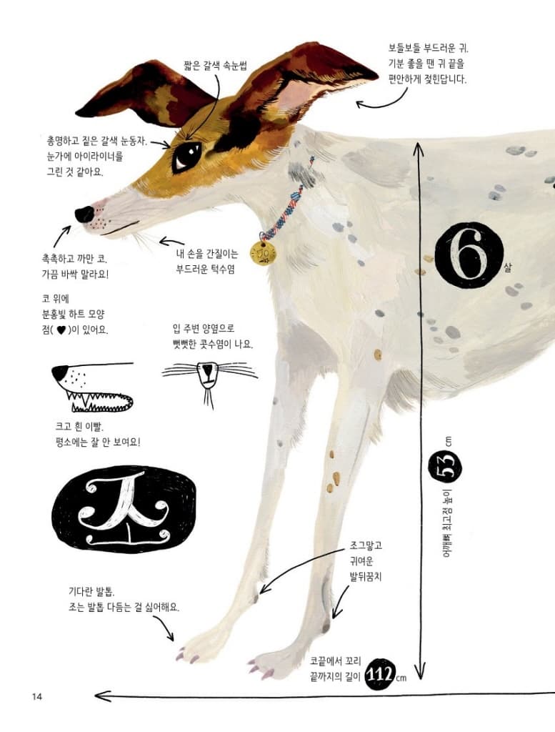 개와 함께 삽니다
