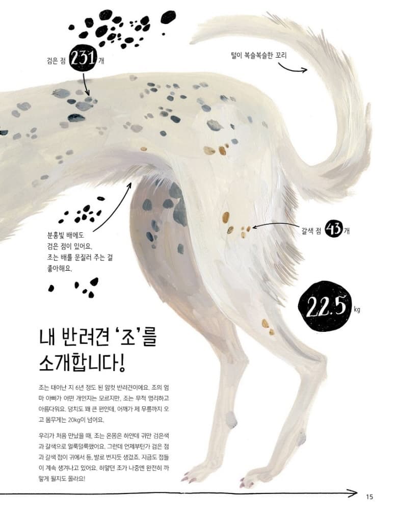 개와 함께 삽니다
