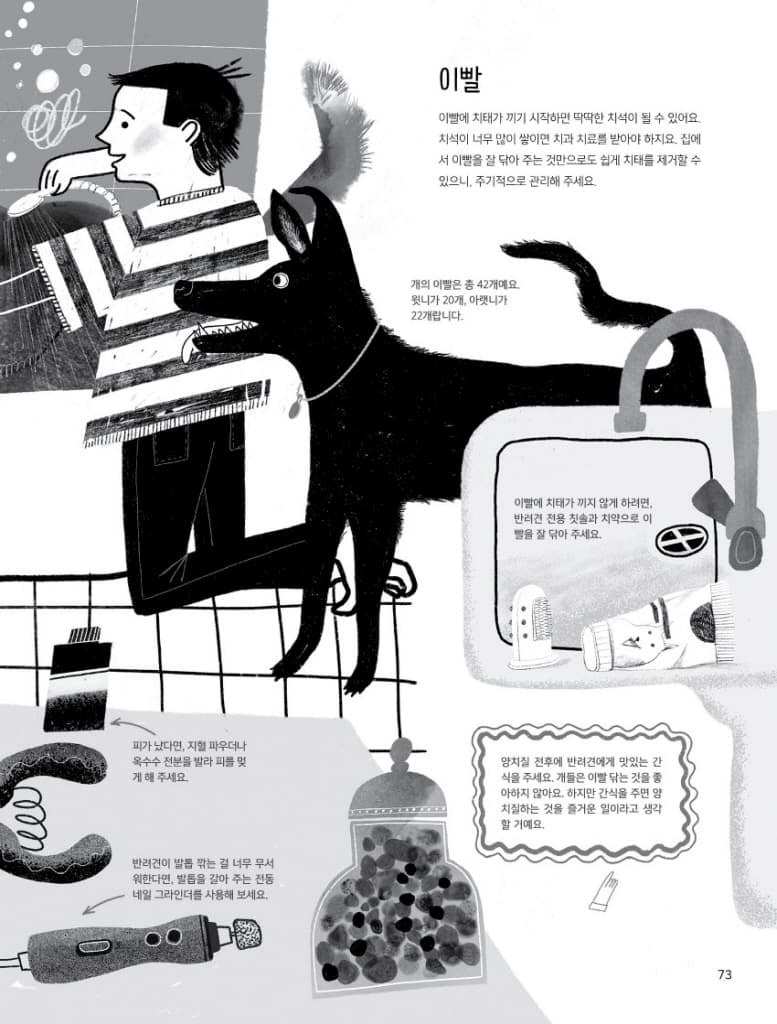 개와 함께 삽니다