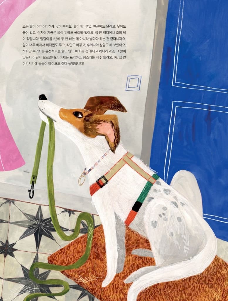 개와 함께 삽니다