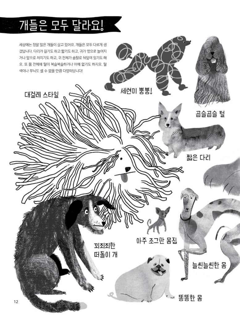 개와 함께 삽니다