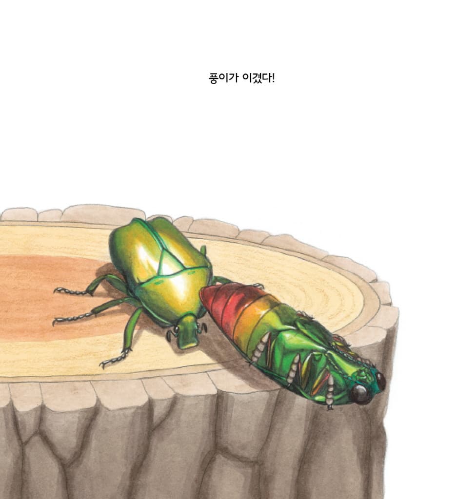 숲속의 곤충 씨름