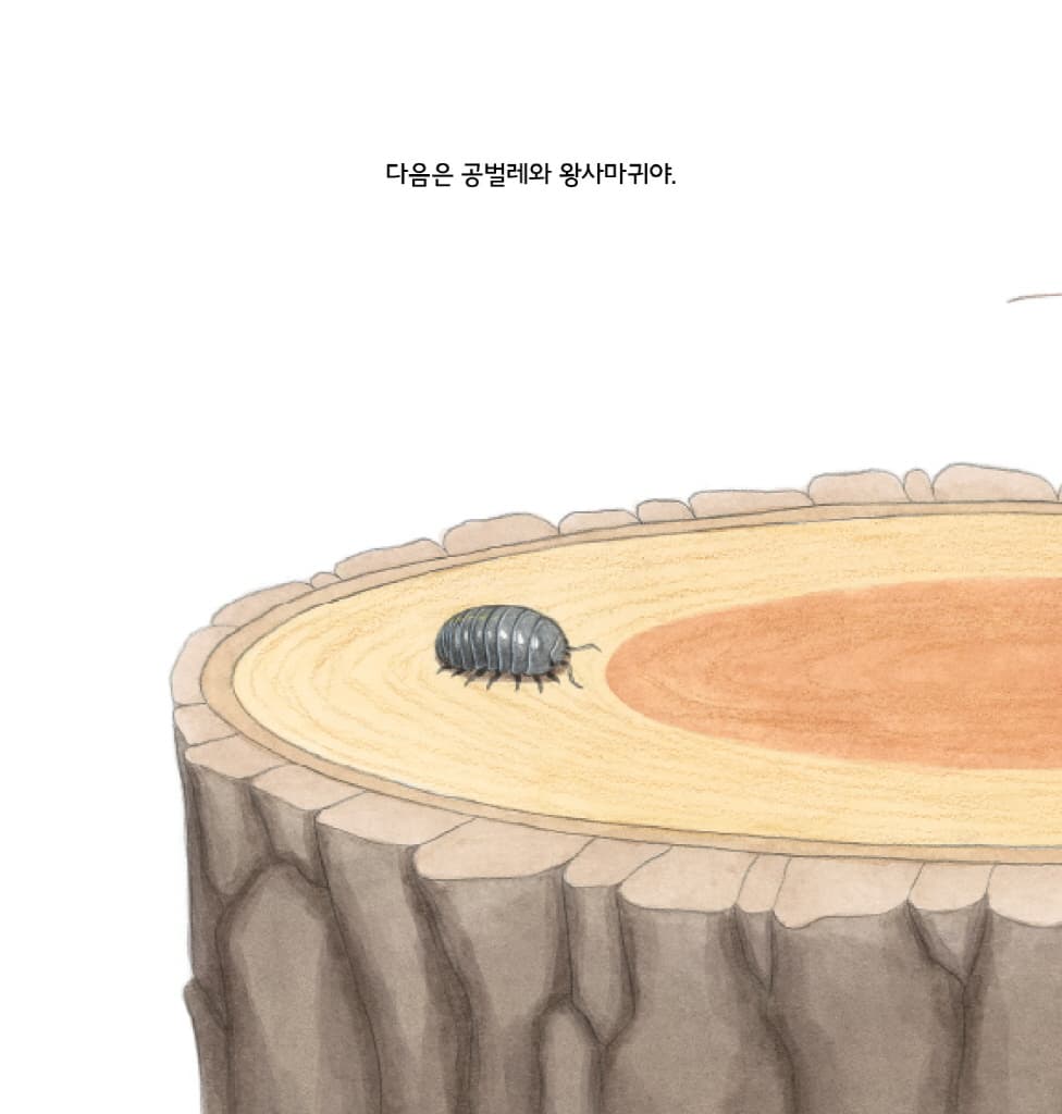 숲속의 곤충 씨름